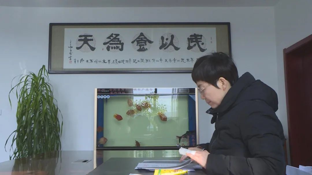 雨阳富硒农业产品(富硒功能农业)-硒宝网