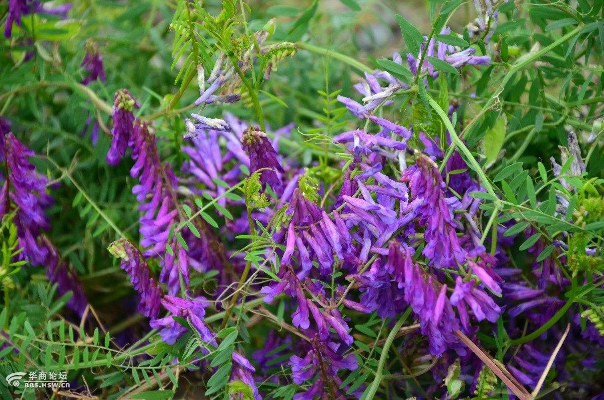 富硒产品 交流会(富硒产品的好处)-硒宝网