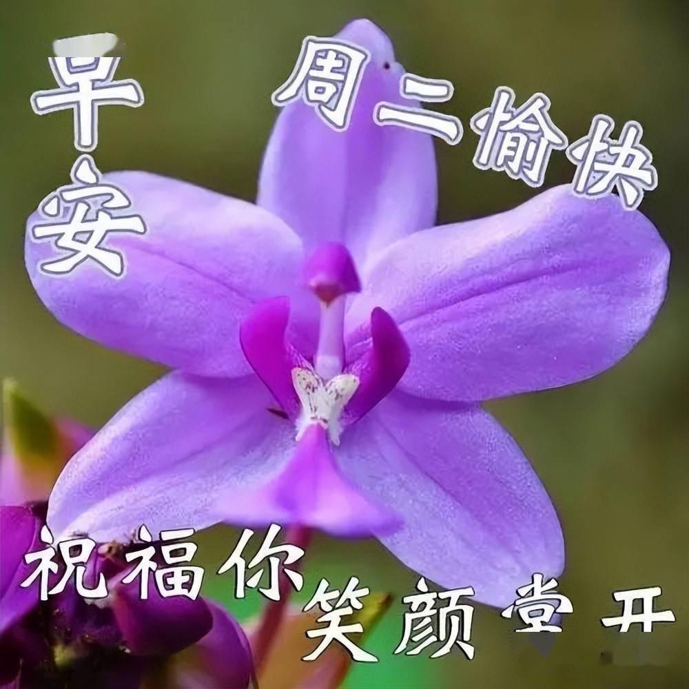 富硒产品 交流会(富硒产品的好处)-硒宝网