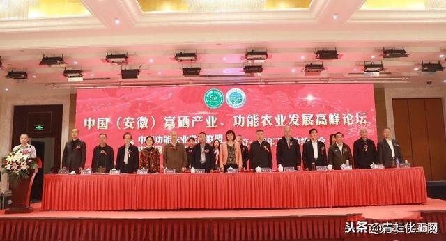 中志集团富硒产品(安徽中志集团富硒产品价格)-硒宝网