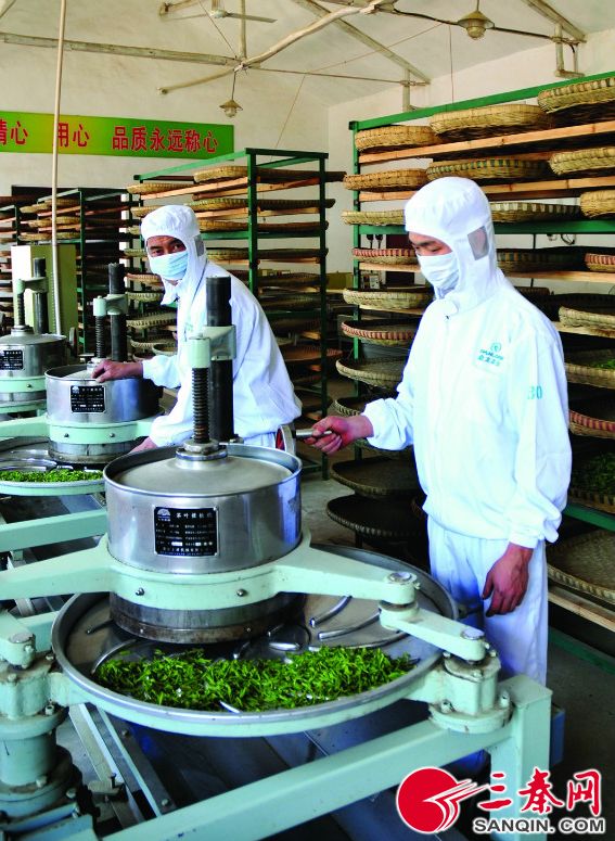 富硒茶的产品策略（富硒茶产业）-硒宝网