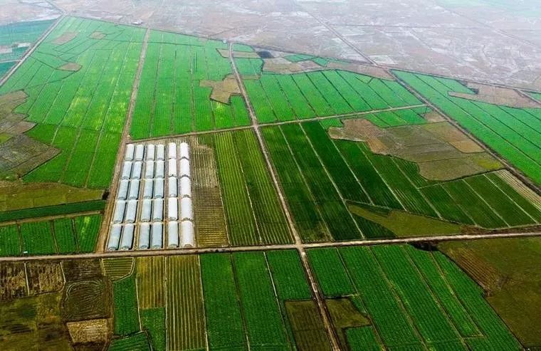 贺州 富硒农产品(广西富硒产品有哪些)-硒宝网