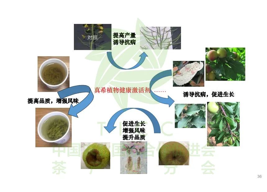 富硒弄产品的教授（富硒产品的标准是什么）-硒宝网