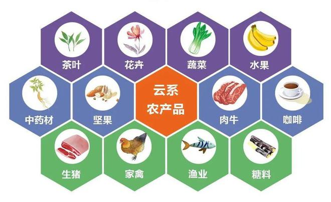 富硒茶的产品策略(富硒茶的竞争对手)-硒宝网