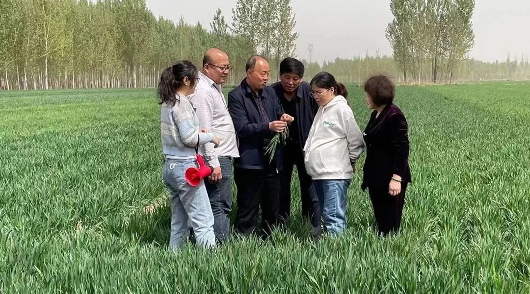 让作物富硒的产品(作物富硒技术)-硒宝网