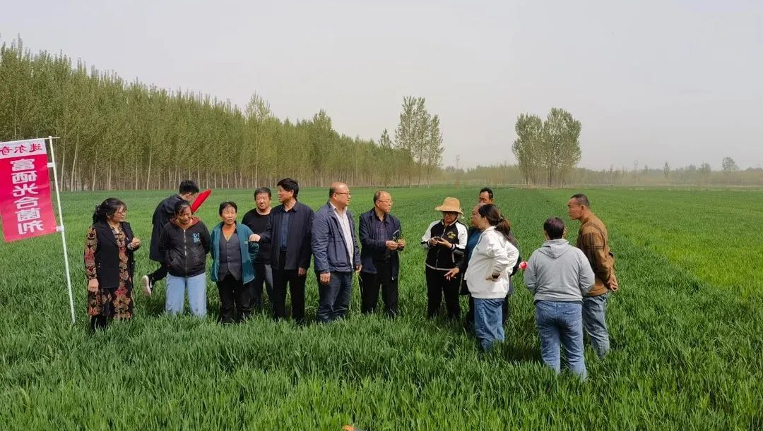 让作物富硒的产品(作物富硒技术)-硒宝网