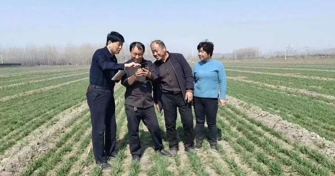 让作物富硒的产品(作物富硒技术)-硒宝网