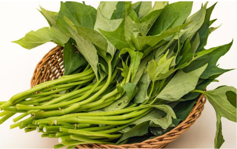 安琪富硒酵母产品(安琪酵母富硒酵母)-硒宝网