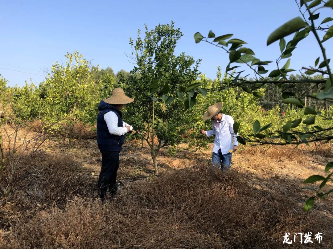 让作物富硒的产品（作物富硒产品让人发胖吗）-硒宝网