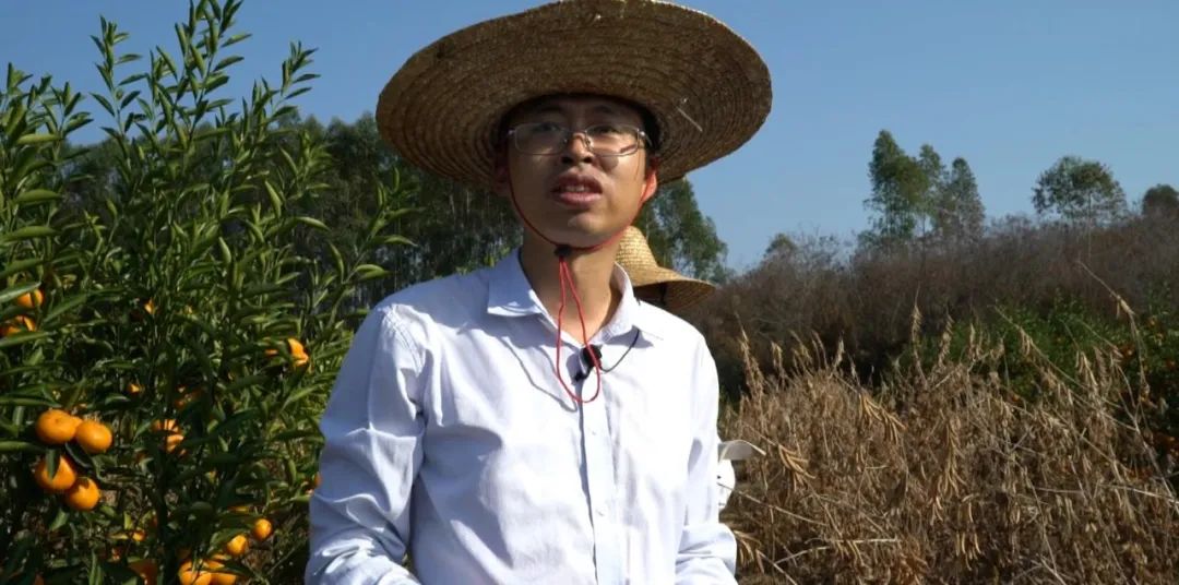 让作物富硒的产品（作物富硒产品让人发胖吗）-硒宝网