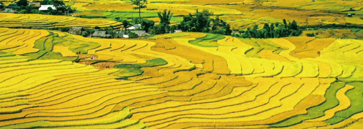 重庆富硒土地产品(重庆土地富硒产品价格)-硒宝网