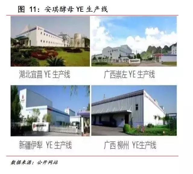 安琪富硒酵母产品(酵母安琪富硒产品怎么样)-硒宝网