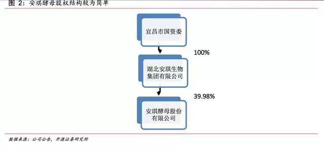 安琪富硒酵母产品(酵母安琪富硒产品怎么样)-硒宝网