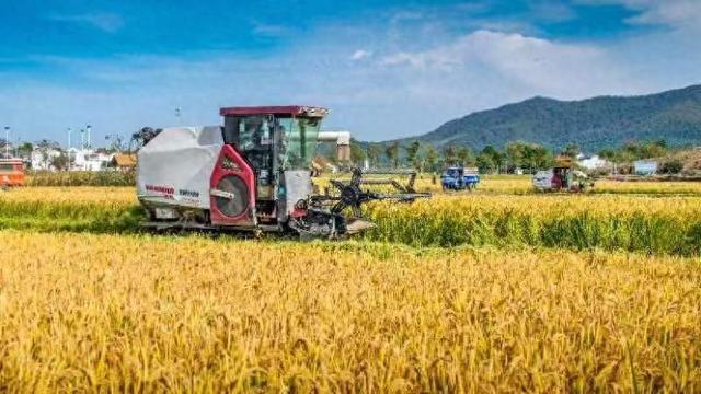 富硒农产品 南京（江苏富硒地区）-硒宝网