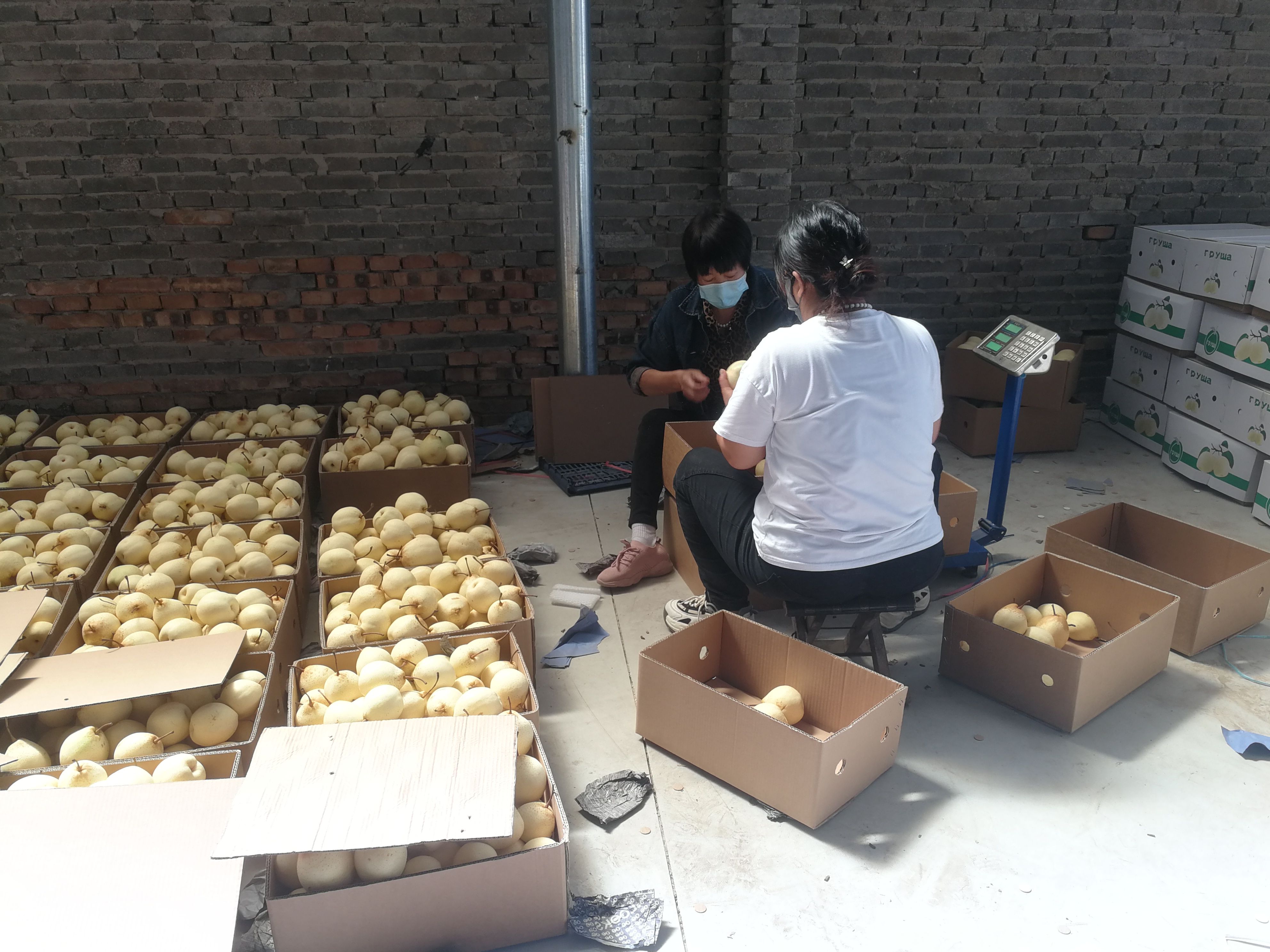 石家庄富硒产品店(河北富硒农产品股份有限公司)-硒宝网