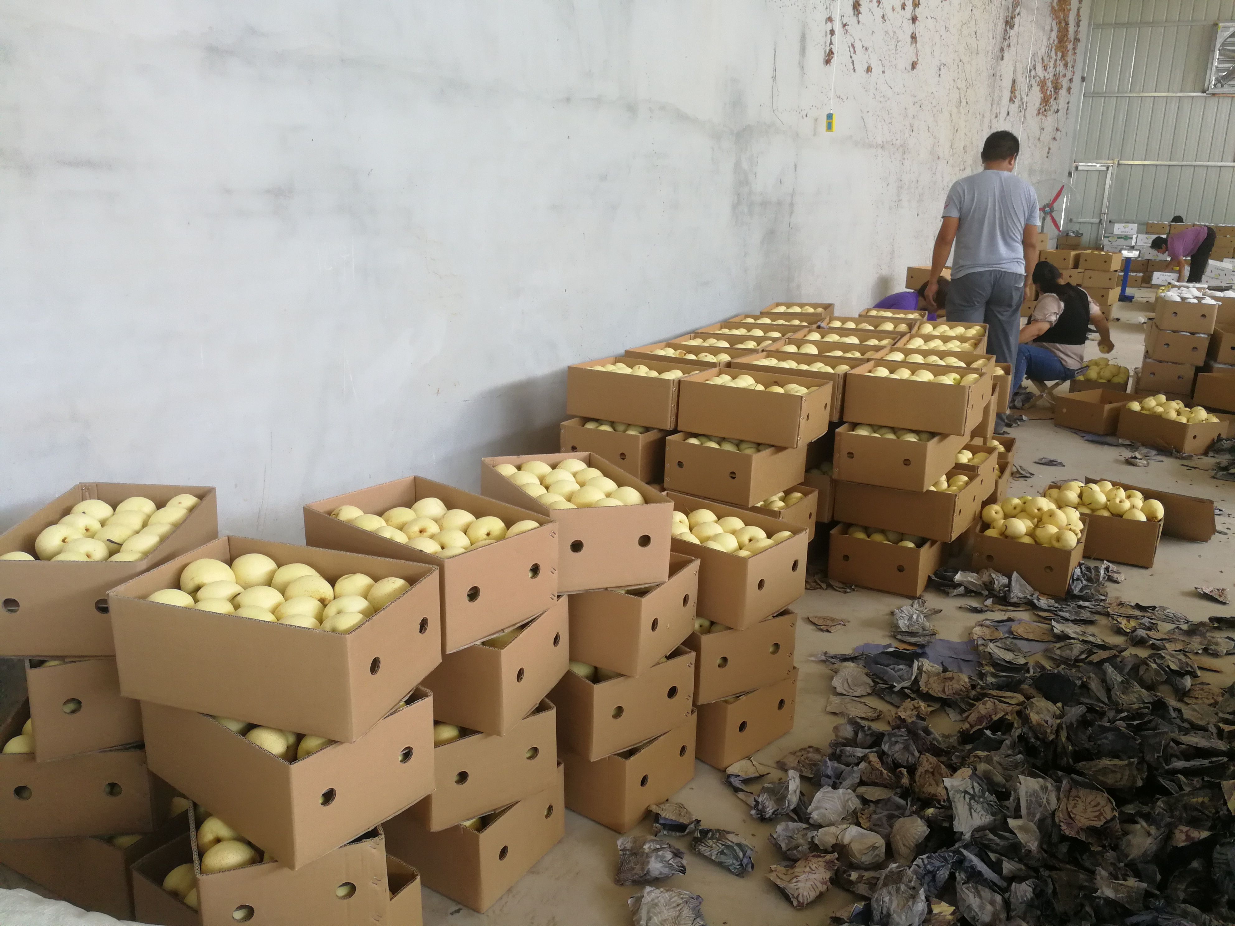 石家庄富硒产品店(河北富硒农产品股份有限公司)-硒宝网