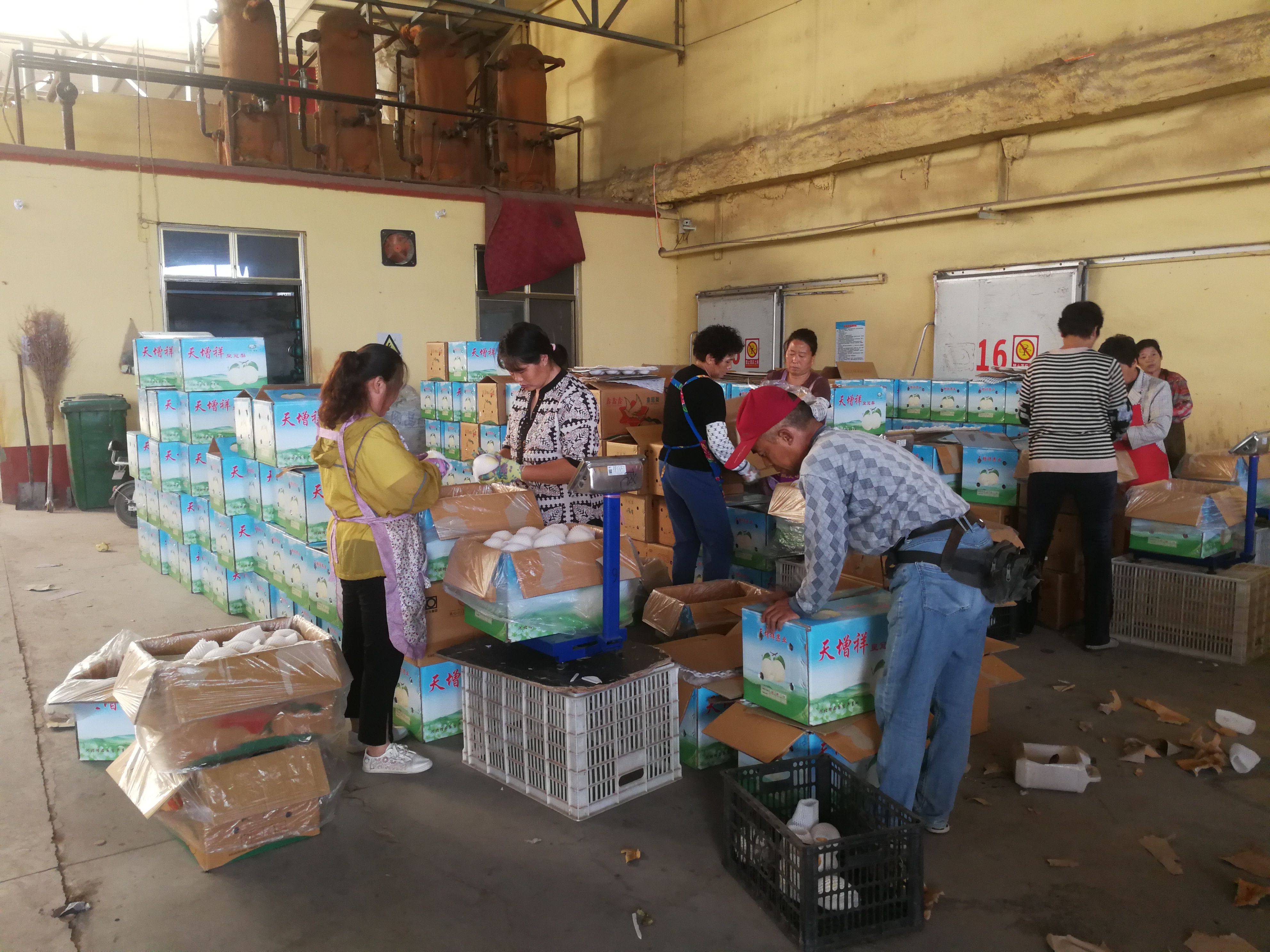 石家庄富硒产品店(河北富硒农产品股份有限公司)-硒宝网