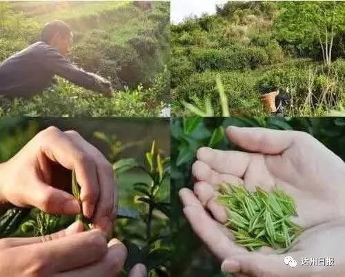 富硒产品检测中心（富硒食品检测单位）-硒宝网