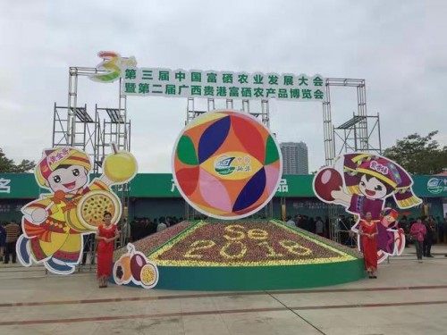 中国名优富硒产品（富硒优选超市）-硒宝网