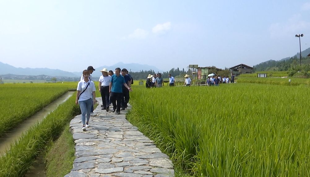 富硒产品预测报告（富硒产品的调查和分析）-硒宝网