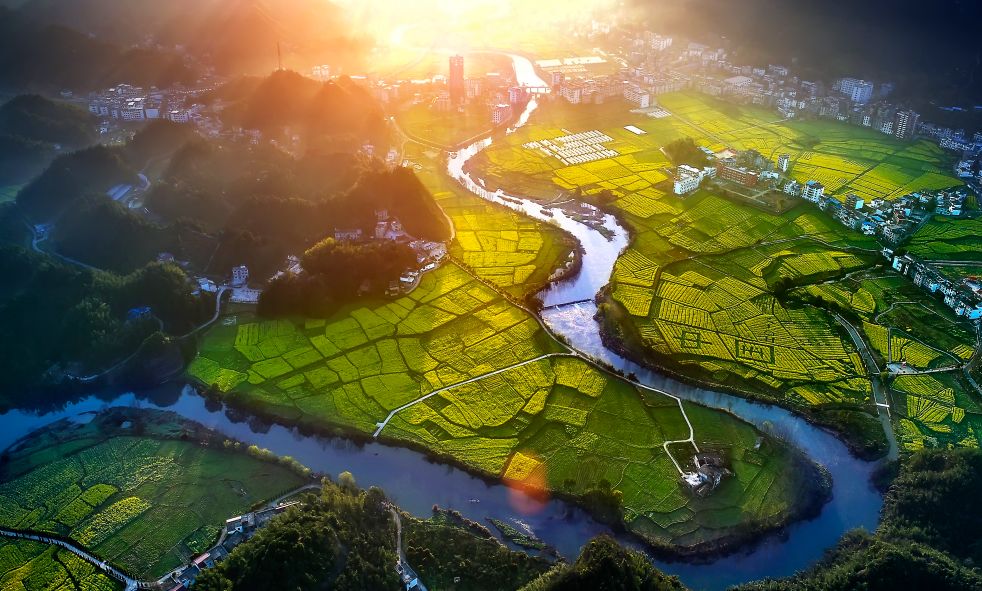 富硒产品预测报告（富硒产品的调查和分析）-硒宝网