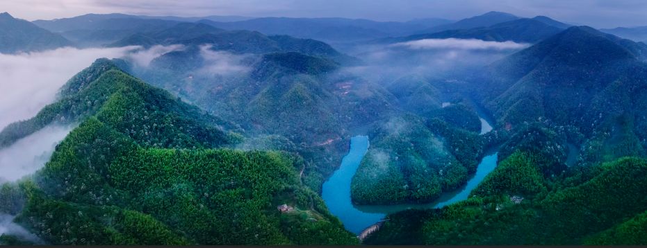 富硒产品预测报告（富硒产品的调查和分析）-硒宝网