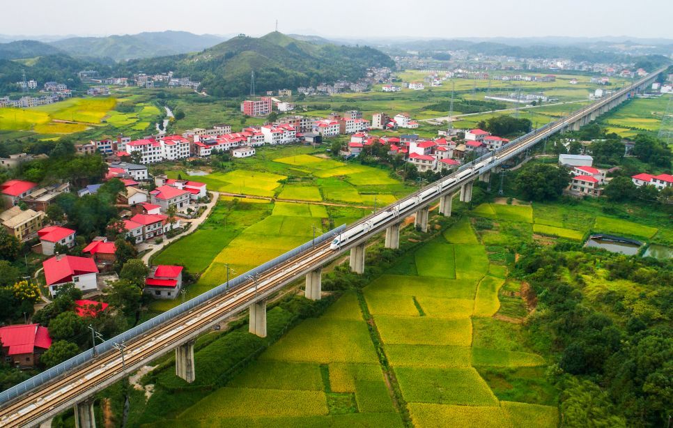 富硒产品预测报告（富硒产品的调查和分析）-硒宝网