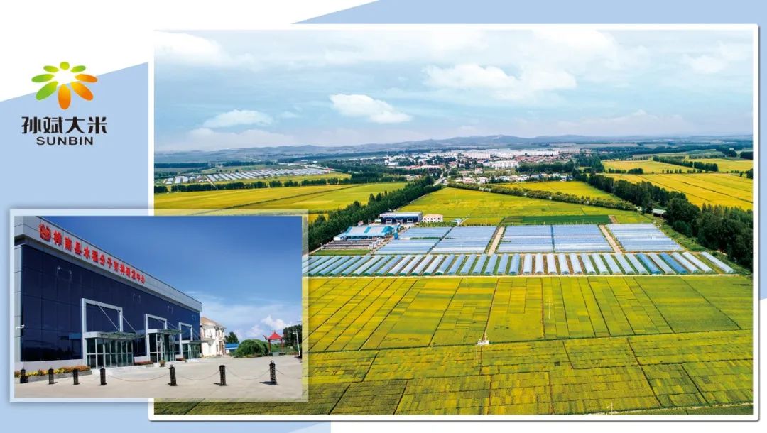 富硒大米产品简介(富硒大米logo)-硒宝网