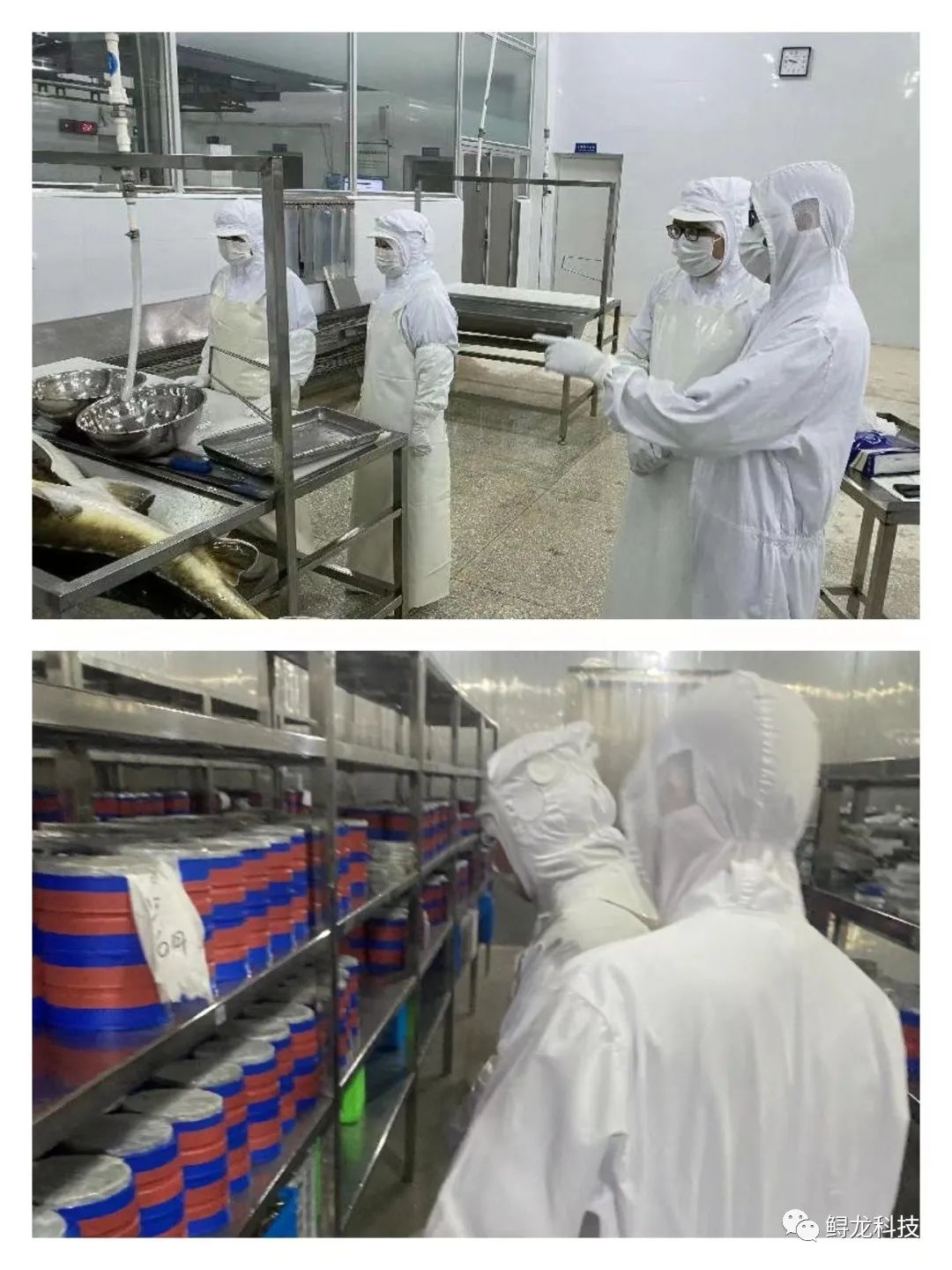 富硒产品认证 谁(富硒认证)-硒宝网