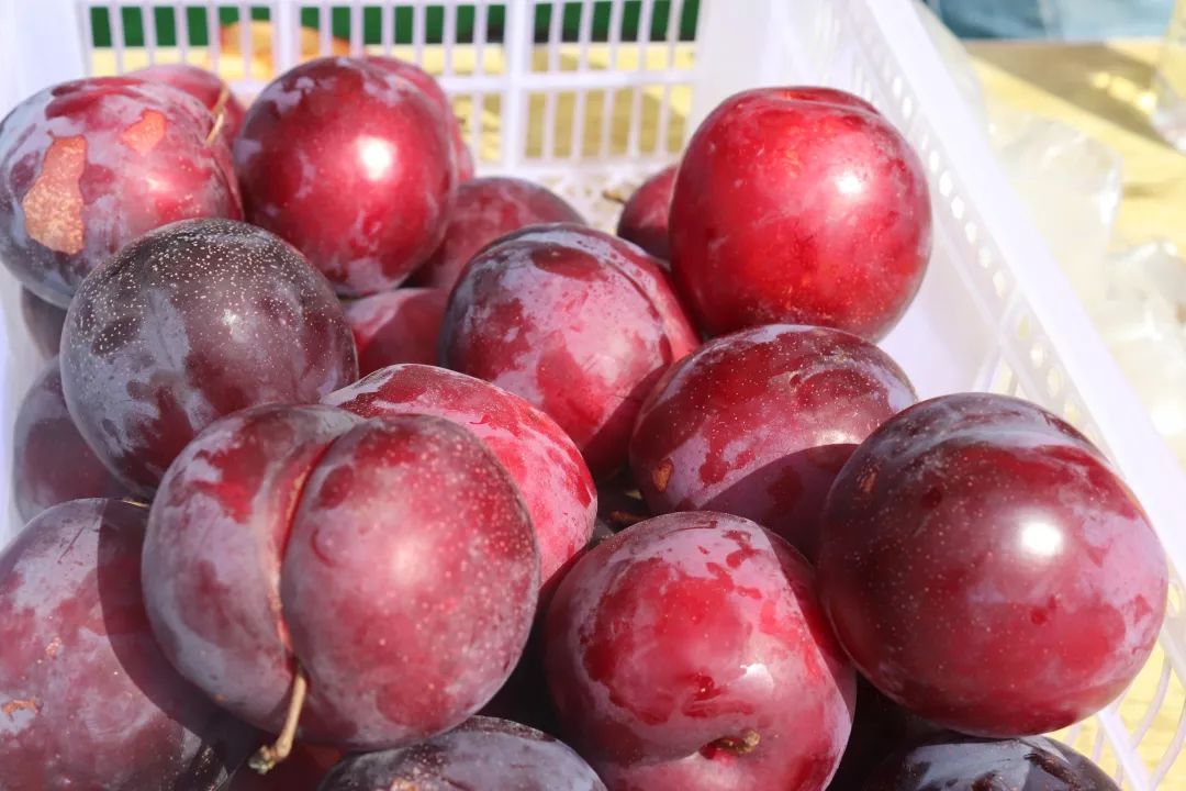 贵阳富硒农特产品(贵州富硒的地方)-硒宝网