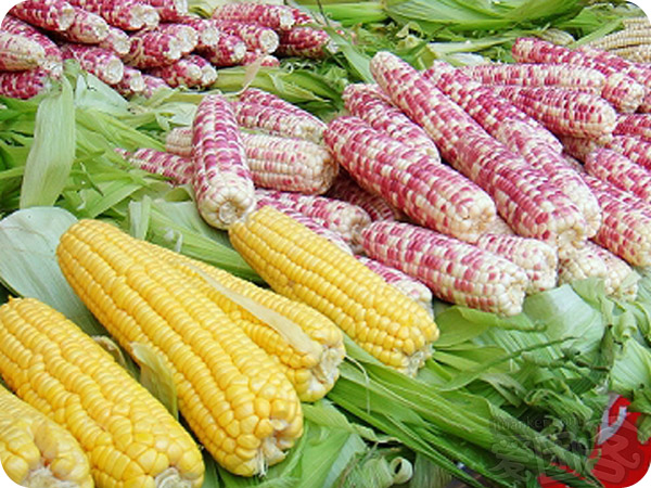 富硒产品认证需要(富硒产品需要认证吗)-硒宝网