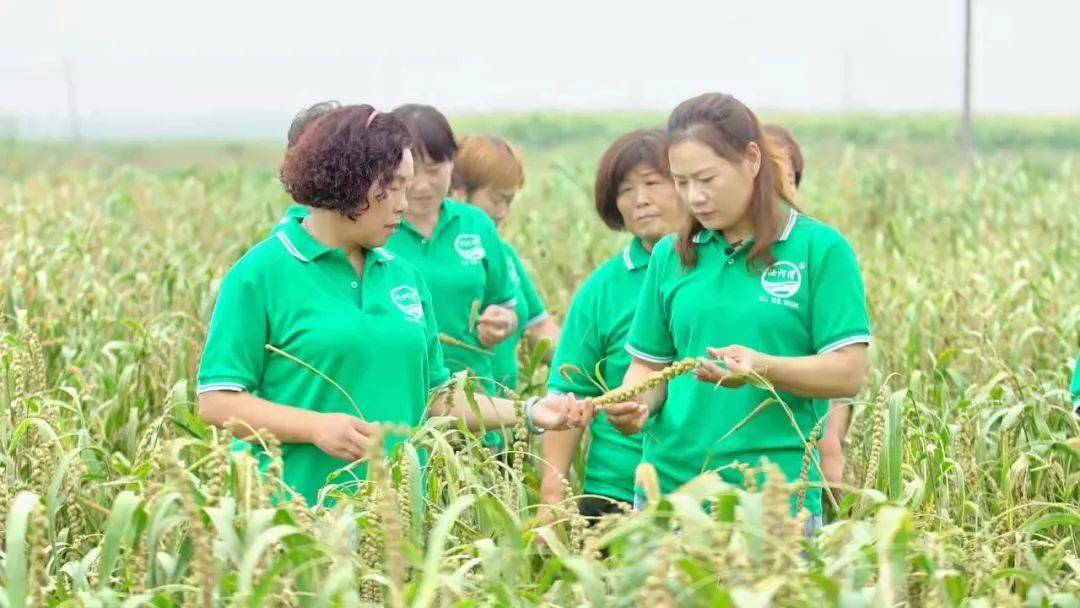 富硒农产品 福建（福建硒含量）-硒宝网