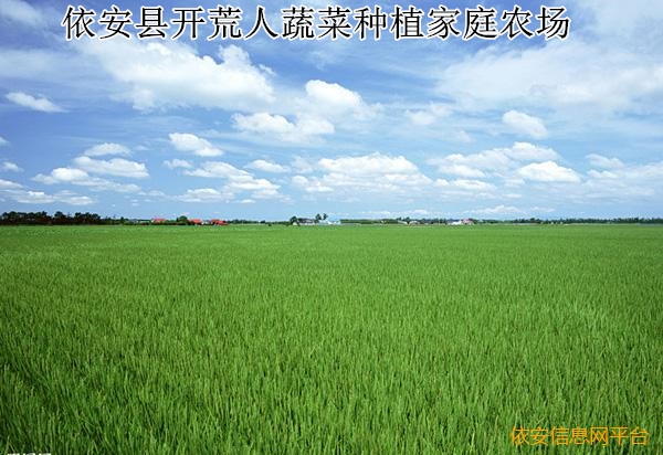 富硒农产品 福建（福建硒含量）-硒宝网