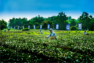 覃塘区富硒农产品(富硒农场产品)-硒宝网