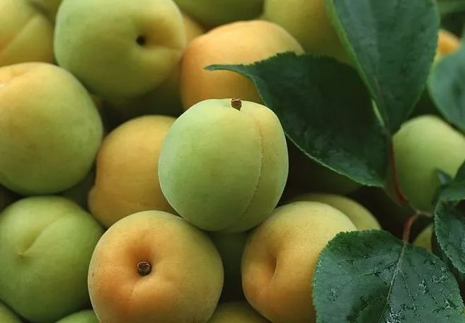 诏安富硒农特产品(诏安富硒茶价位)-硒宝网