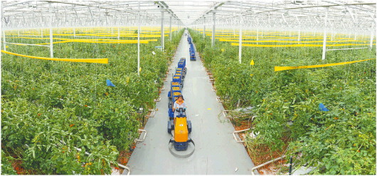 袁隆平富硒农产品(袁隆平富硒大米)-硒宝网