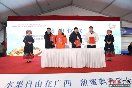 武鸣区富硒农产品（广西富硒村）-硒宝网