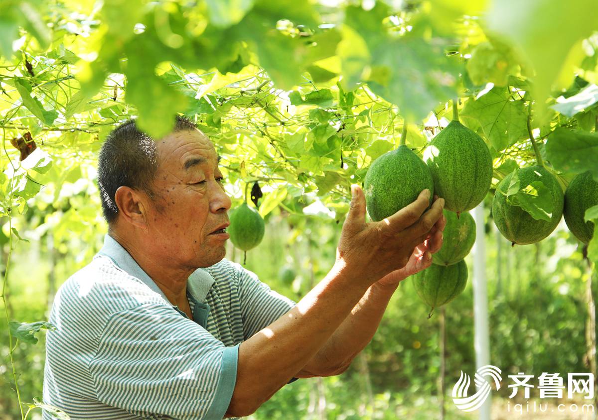 富硒农产品的做法(富硒农产品介绍)-硒宝网
