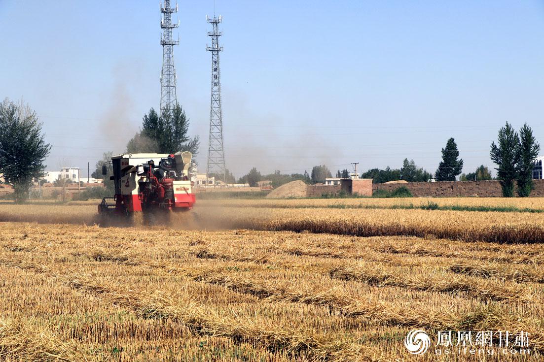 富硒农产品观光园（观光农园富硒产品介绍）-硒宝网