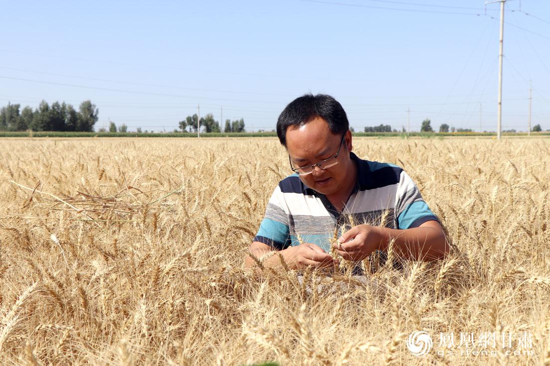 富硒农产品观光园（观光农园富硒产品介绍）-硒宝网