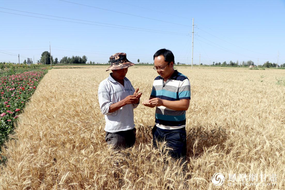 富硒农产品观光园（观光农园富硒产品介绍）-硒宝网