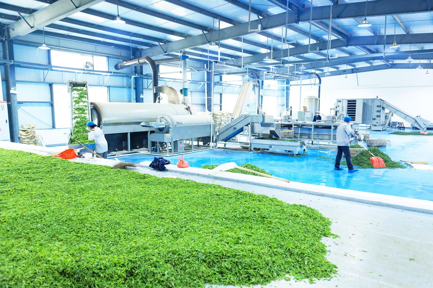 最大的富硒农产品（富硒农业）-硒宝网