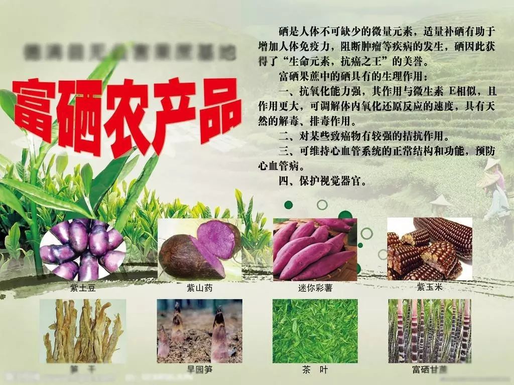 富硒农产品的销售(富硒农产品销售模式)-硒宝网