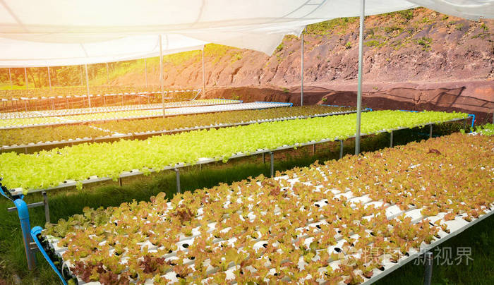 鑫飞达富硒农产品(鑫农富硒飞达产品怎么样)-硒宝网