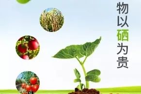 两会期间富硒产品（两会期间富硒产品）-硒宝网