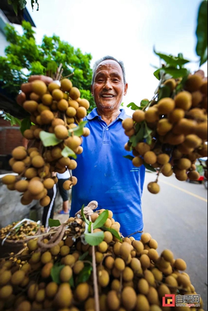 港南区富硒农产品(富硒农业基地)-硒宝网