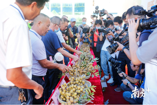 港南区富硒农产品(富硒农业基地)-硒宝网