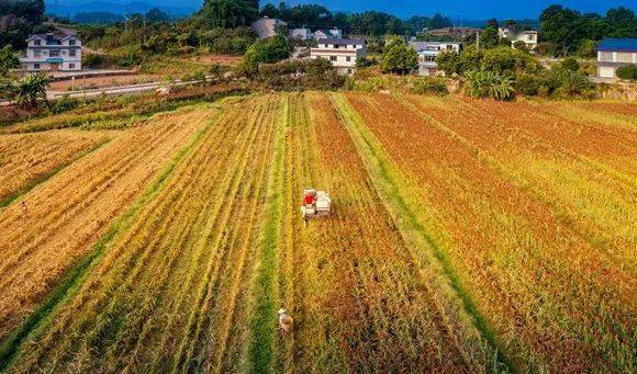 广西溪富硒农产品(溪泉富硒有机米)-硒宝网