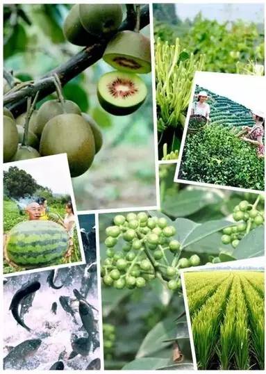 江津十大富硒产品（江津富硒产品公司）-硒宝网