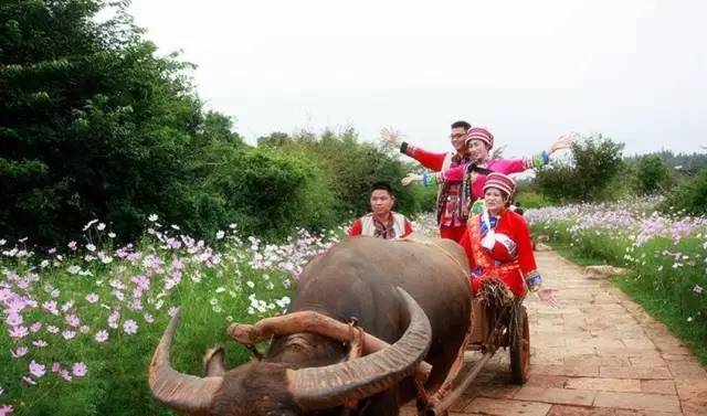 恩施富硒农产品宝(恩施富硒茶多少钱一斤)-硒宝网